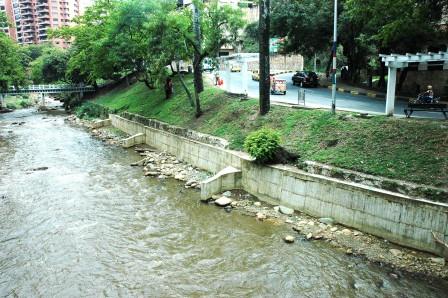 La ciudad se unir� para cubrir la ribera del r�o Cali y el Jard�n Bot�nico con 3 mil �rboles