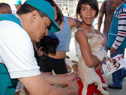 Se fortalecen acciones de prevenci�n contra la rabia en Santiago de Cali