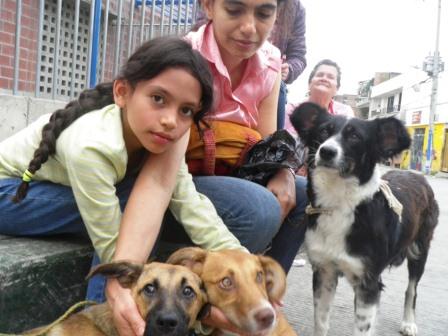 Mascotas de la Comuna 20 tuvieron jornada de esterilizaci�n