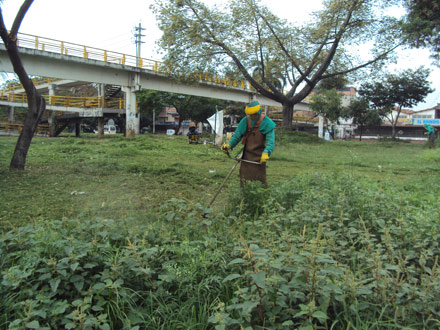 �Cali da m�s zonas verdes a sectores vulnerables�: Dagma