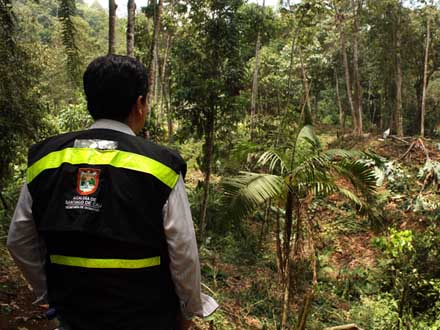 La Alcald�a les apuesta al cuidado y a la seguridad de terrenos y de zonas de protecci�n ambiental