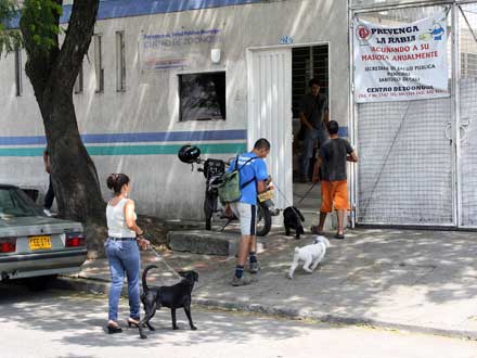M�s de 460 mascotas en Cali fueron inmunizadas contra la rabia