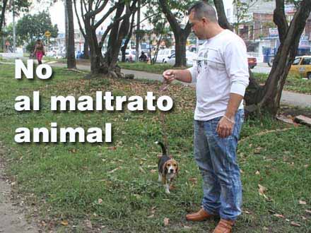 Este domingo, cale�os participar�n en marcha por el respeto hacia los animales