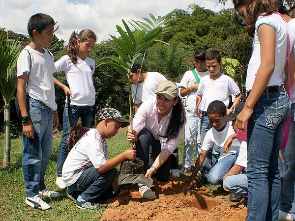 5 mil �rboles para la cuenca del r�o Mel�ndez