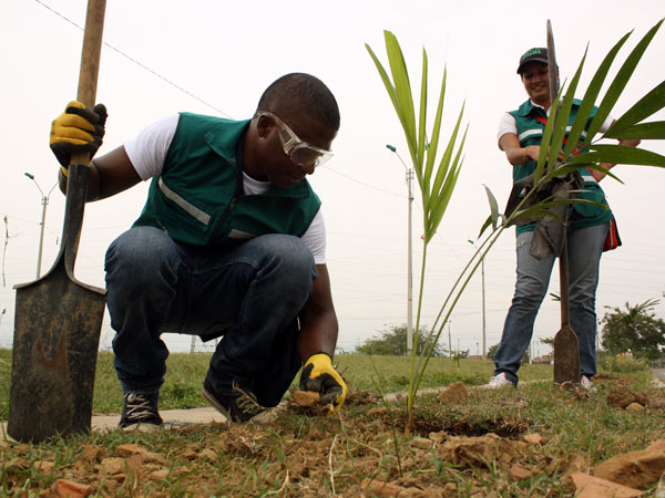 La comunidad educativa de la instituci�n Nuevo Latir sembr� �rboles y vivi� una semana ambiental