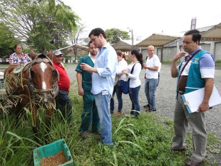 Pico y Placa para jornadas de validaci�n del censo del 2006 con los carretilleros