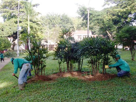 Comunas de Cali avanzan en obras e inversi�n