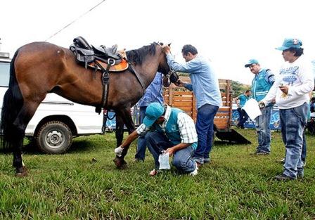 La cabalgata tiene la supervisi�n del Centro de Zoonosis