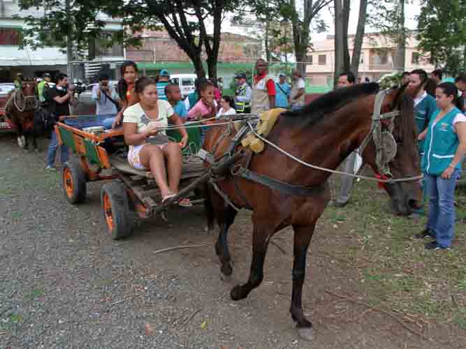 S. de Tr�nsito acompa�ar� a los carretilleros en sustituci�n de veh�culos de tracci�n animal