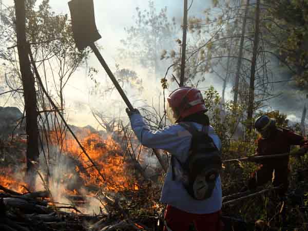 200 militares y polic�as recibir�n capacitaciones para apoyar a organismos de socorro en casos de incendios forestales