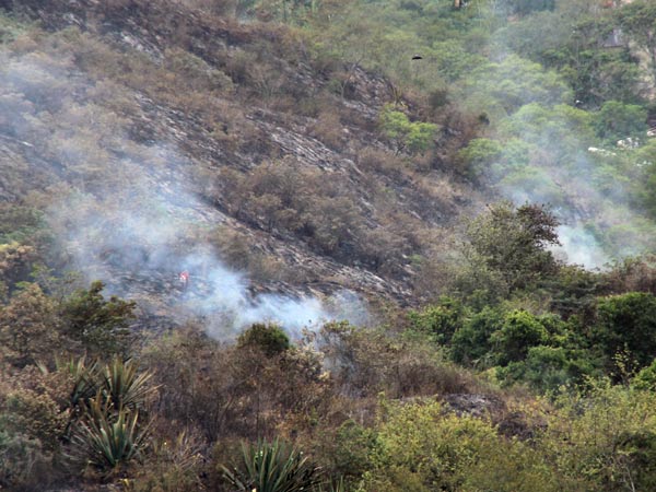 �La emergencia en las Tres Cruces habr�a sido provocada�; van 69 incendios forestales
