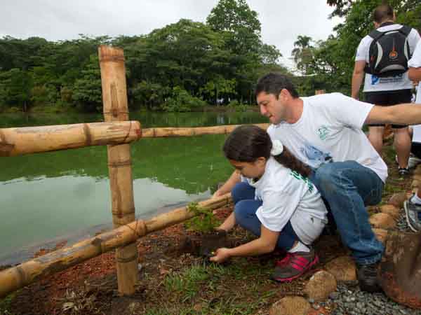 3.000 bocachicos fueron sembrados en dos humedales del sur de Cali