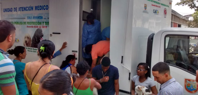 Jornada del Centro de Zoonosis esteriliz� a cien felinos