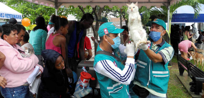 Centro de Zoonosis realizar� brigada de salud animal en la comuna 15, este jueves