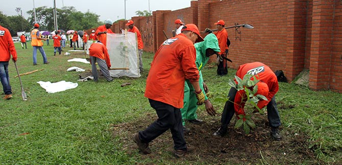 Veinte mil arbolitos empiezan a dar ox�geno al pulm�n verde de Cali