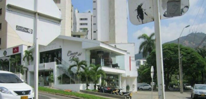 Investigan tala de dos �rboles en un establecimiento al oeste de Cali