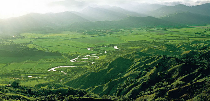 Este viernes en el Archivo Hist�rico de Cali, presentaci�n de la obra Al oeste del Para�so