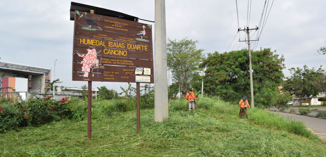 Salvavidas al humedal Isa�as Duarte Cancino