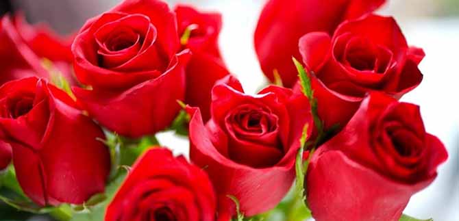 Perfomancia de los Ausentes en la Biblioteca del Centenario