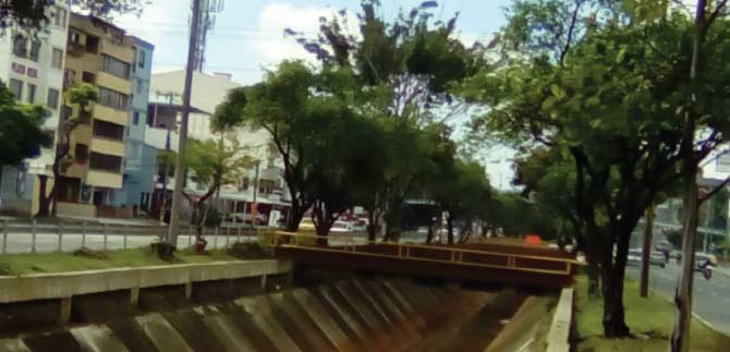 Se realizan podas de realce y embellecimiento de �rboles