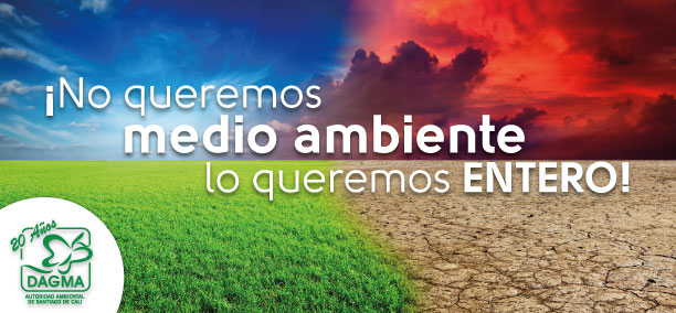 Tips de ecolog�a para aplicarlos en casa