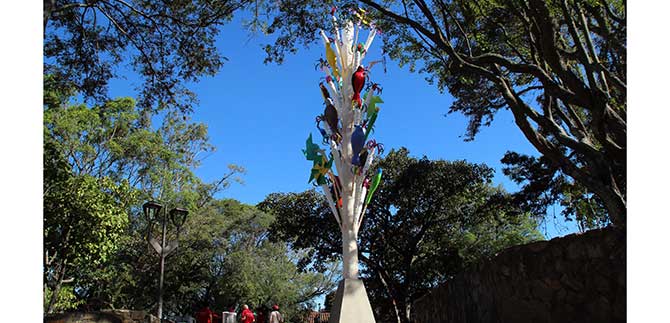 En su cumplea�os, Cali recibi� la maceta m�s grande