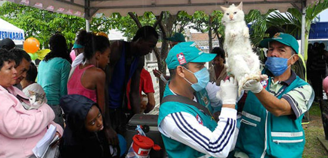 Sector de Golondrinas tuvo jornada en  tenencia responsable de animales