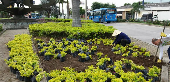 Autoridad ambiental de Santiago de Cali DAGMA, inici� plan de choque intensivo para atender las zonas verdes de la ciudad