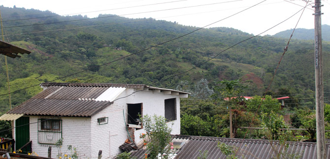 Trabajos de poda de �rboles para garantizar servicio de energ�a