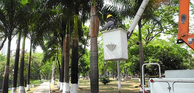 Recuperan zonas verdes intervenidas por Feria y alumbrado