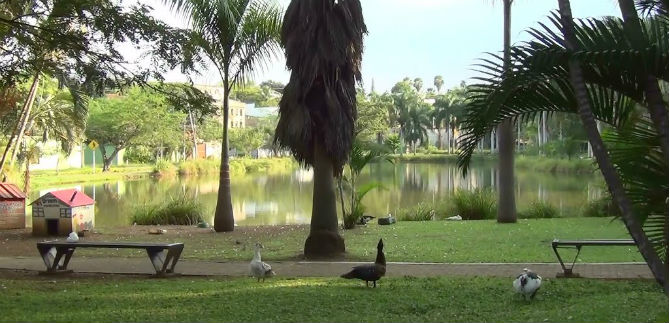 Administraci�n socializar� construcci�n de la prolongaci�n de la calle 13