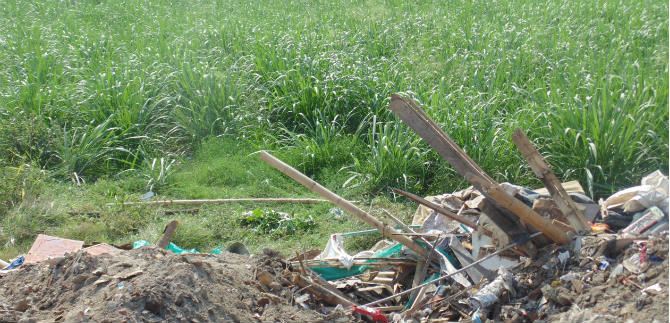 Alcald�a y Metro Cali recuperan espacio p�blico