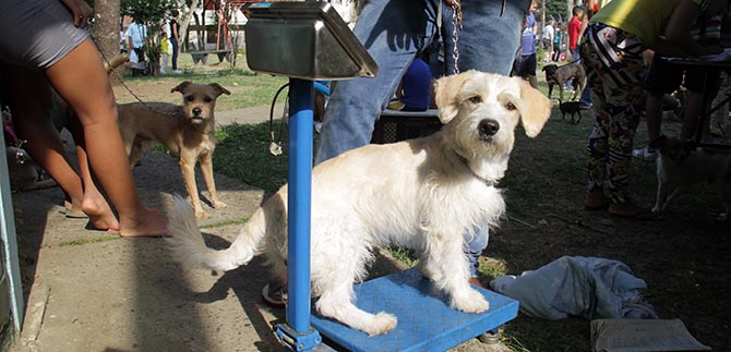 Centro de Bienestar Animal es una realidad para el municipio