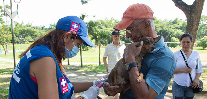 Nueva jornada con presencia de zoonosis en la Ciclovida de Cali
