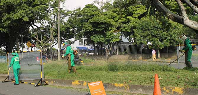 M�s de 60 millones de metros cuadrados de c�sped se han cortado en Cali