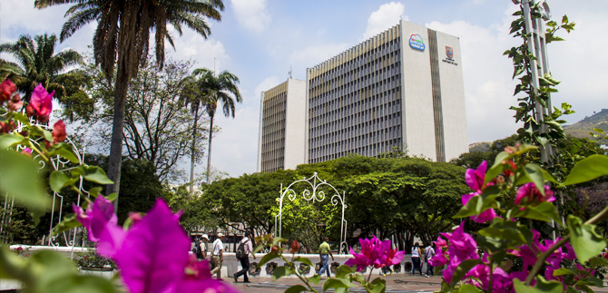 Se confirma los resultados de los 30 elegidos a la Consultiva Departamental para Comunidades Negras