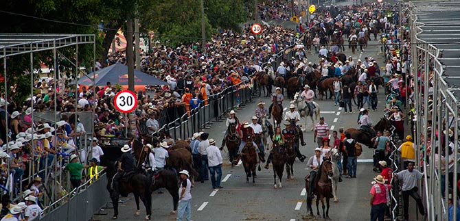En la cabalgata es la cita, en el segundo da de la Feria de Cali