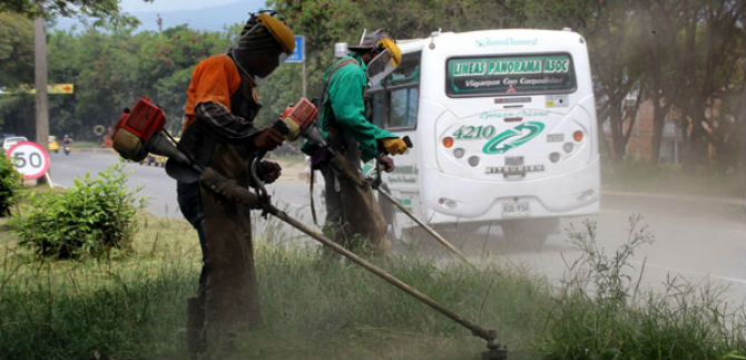 Dagma comenzar en febrero mantenimiento de zonas verdes de Cali