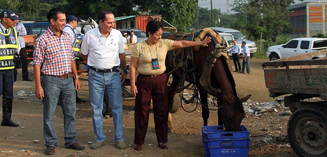 Este mes se dar solucin a primer grupo del proceso de sustitucin de carretillas
