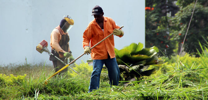 Avanza el mantenimiento de las zonas verdes en el norte y sur de Cali