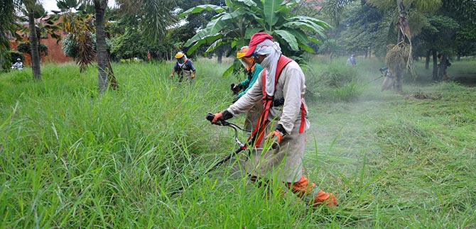 Con 250 operarios, Dagma hace mantenimiento de las zonas verdes