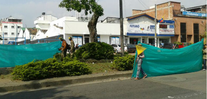 Poda de zonas verdes en Cali va en 70 %; se completaron 9 comunas