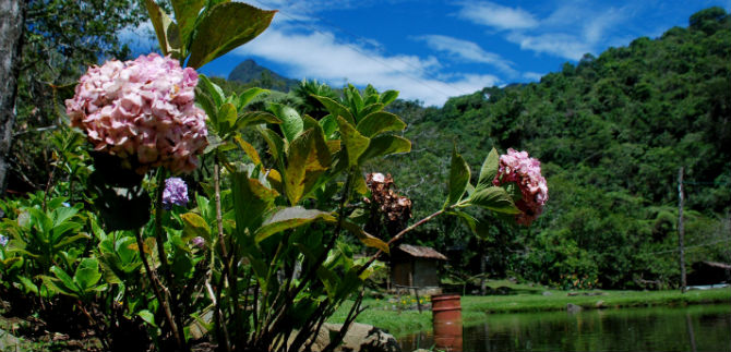 Viva el puente festivo en la zona rural de Cali