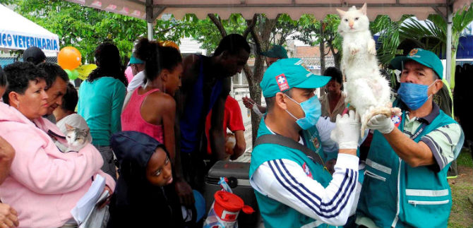 Capacitan a 3402 personas en tenencia responsable de animales