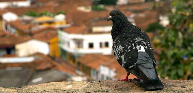Periodismo tur�stico, ejercicio serio de investigaci�n