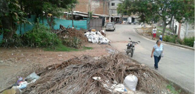 Desde este mi�rcoles nuevos jardines adornan barrio Pueblo Joven en la Comuna 20