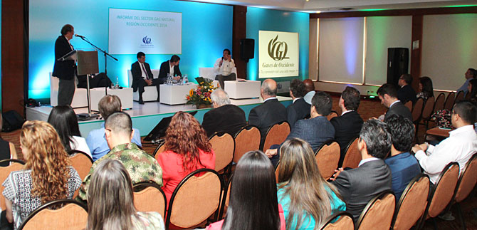 Cali y Valle no tendr�n desabastecimiento de gas: presidente de Naturgas