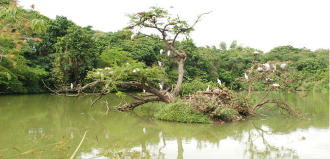 El ecoparque Lago de las Garzas cumple 20 aos
