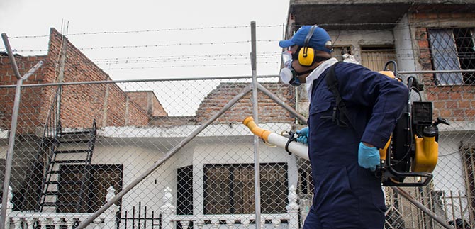 Salud Pblica defini prioridades de fumigacin contra Aedes aegypti