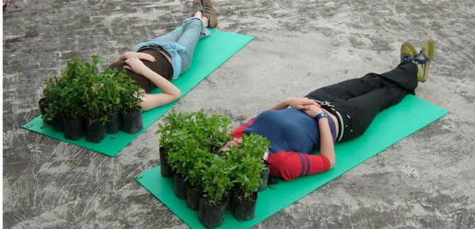 Naturalezas de un mundo feliz, en el Centro Cultural de Cali